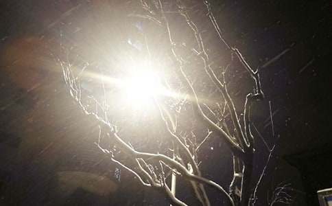 盼望下雪作文(6篇)