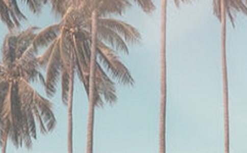 �ļ��_܇��(ji��)�ͼ���