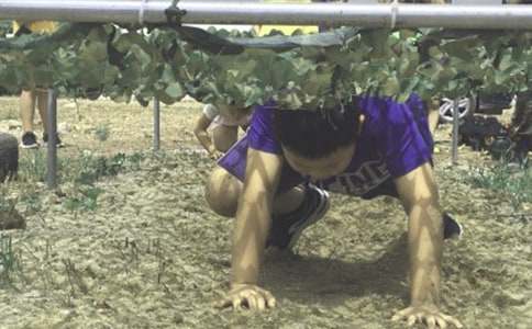 2018����h��Wˎ�WԺ��������I֪ͨ