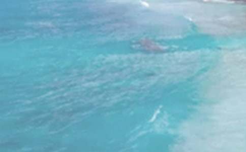 夏日風(fēng)雨作文