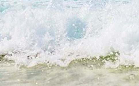 ����ʵ����졷�̌W�OӋģ��