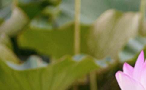 ����δ�����~����