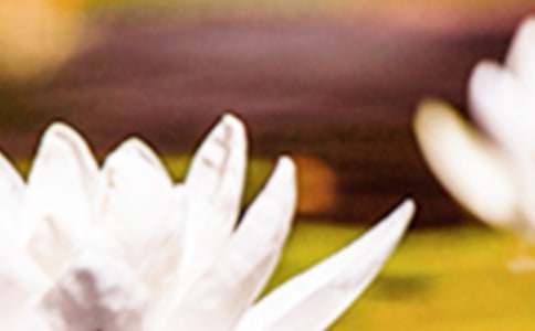 《夏至未至》片尾曲歌曲歌詞