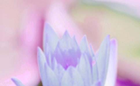 ���P(gu��n)��������(x��)�״�ȫ����