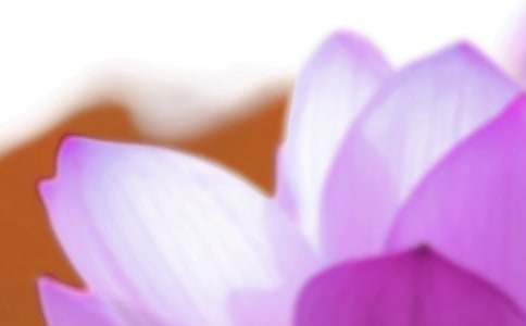 С��24��(ji��)�������̰������x11ƪ��