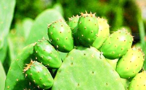 �茑�����Ƶ����ģ����x34ƪ��