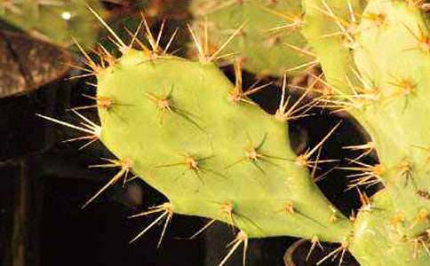 �^��������_�^������