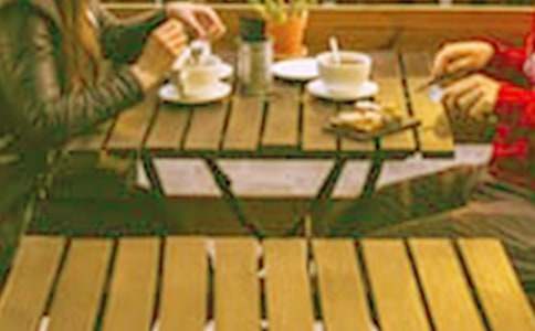 相親相愛的狐貍一家小學(xué)作文