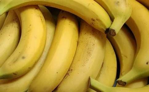 �㽶������(3ƪ)