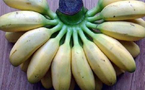 香蕉皮游記童話作文