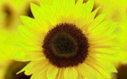 ���������տ����ġ��᡿