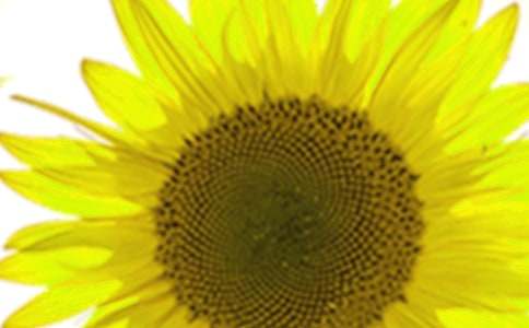 ���տ����ף��ӛ����