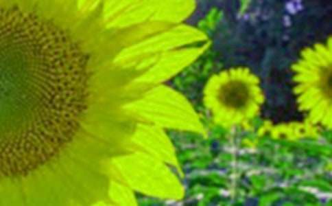 ���������տ�����300�����꼉�����x30ƪ��