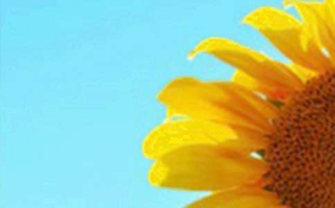 �茑���տ�������