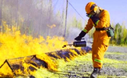 ���P(gu��n)������ȫ�n�̰�