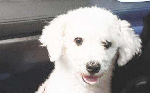 С���������̰������x5ƪ��