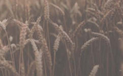 ���l(xi��ng)��С��400������