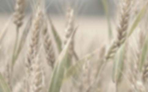 С��������300�֣����x21ƪ��