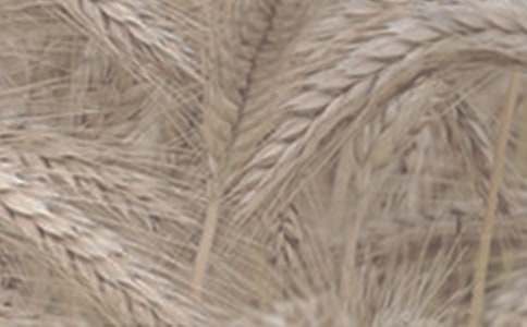 С������400��5ƪ