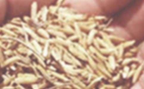 С������400��10ƪ