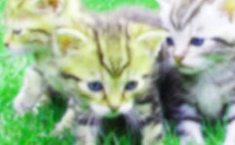 С�����(hu��)�̰���(��i)�坍��С؈�̰�