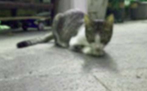 С؈���^����ӛ