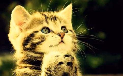 ���_��������С؈�̌W(xu��)�O(sh��)Ӌ