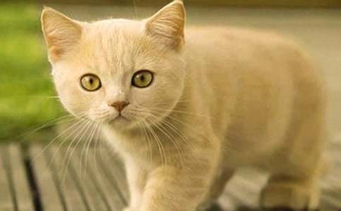 С؈��(y��u)�����ķ���