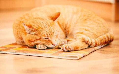 �P(gu��n)������С؈���ģ����x22ƪ��