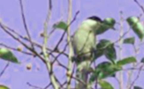 �а����⡶��؈��С�B���Ľ̰��O(sh��)Ӌ(j��)