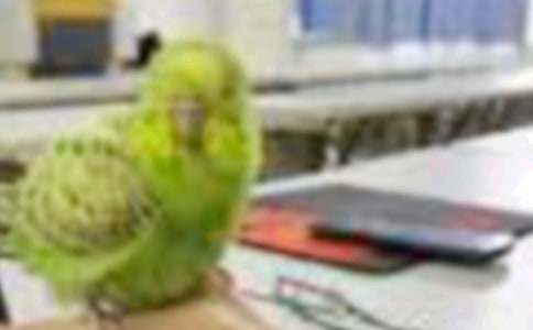 С�B���x����