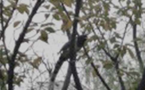 ��С�B�Ľ̰���ͨ��11ƪ��