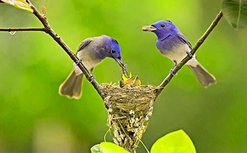 ����С�B���̌W(xu��)�O(sh��)Ӌ(j��)