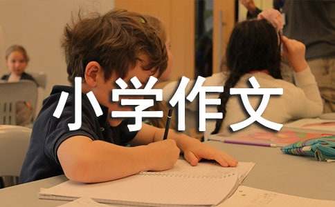 生命的感悟小學作文15篇