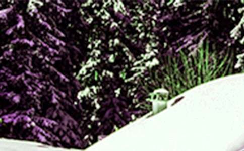 С��Сѩ��(ji��)�����}���(d��ng)�̰����ģ����x14ƪ��