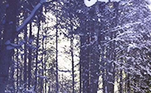 【精】小雪人作文