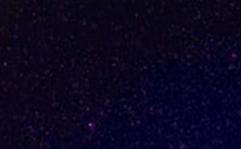 夏夜的星空的作文(通用28篇)