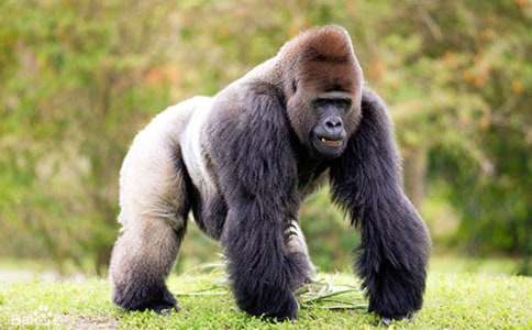 ���ɫF֮�þ���Ҳ��x��