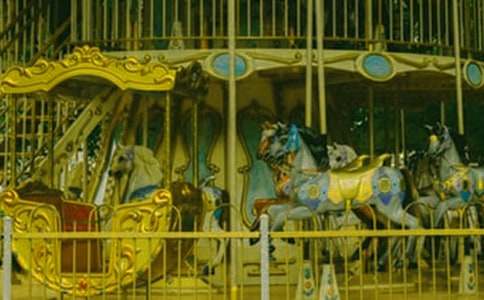 ���D(zhu��n)ľ�R��������