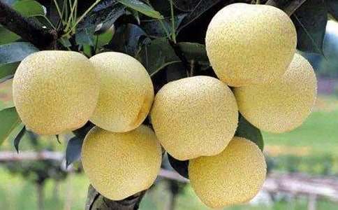 ѩ������400����ƪ