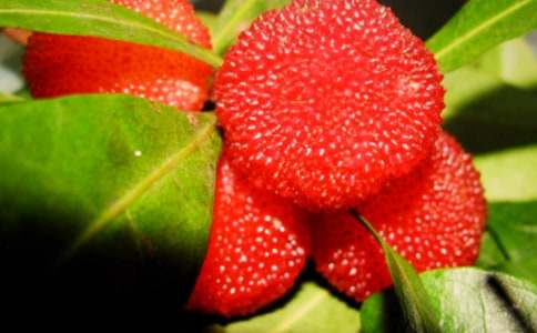 ���Ґ�(��i)���l(xi��ng)�ė�÷���̰��O(sh��)Ӌ(j��)