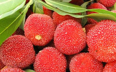 �Ґ۹��l(xi��ng)�ė�÷����