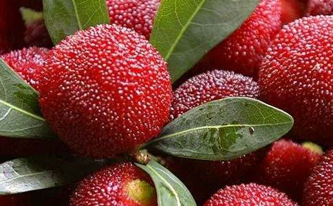 ���Ґ۹��l(xi��ng)�ė�÷���ڶ��n�r�̰������x11ƪ��