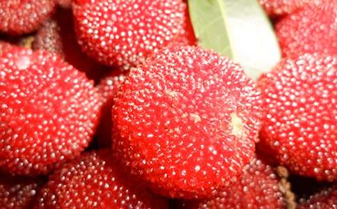 家鄉(xiāng)的楊梅樹作文