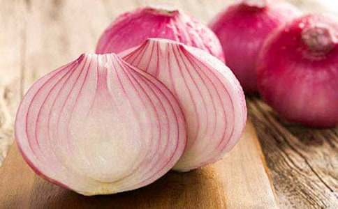 觀察洋蔥作文(精選16篇)