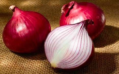 洋蔥作文500字6篇