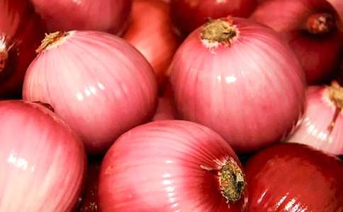 描寫洋蔥的作文(精選6篇)