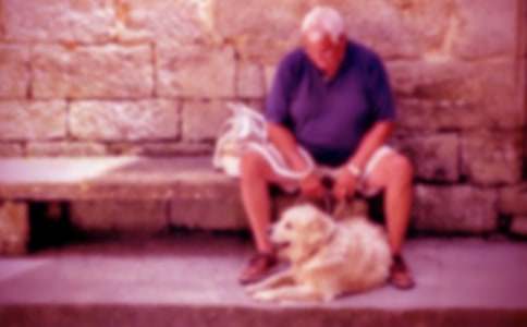 《爺爺和小樹》教案范本