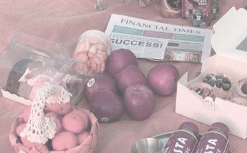 難忘的野餐作文(通用20篇)