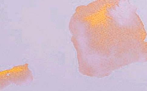 ˇ�g(sh��)�I(l��ng)�򏗳��̰�